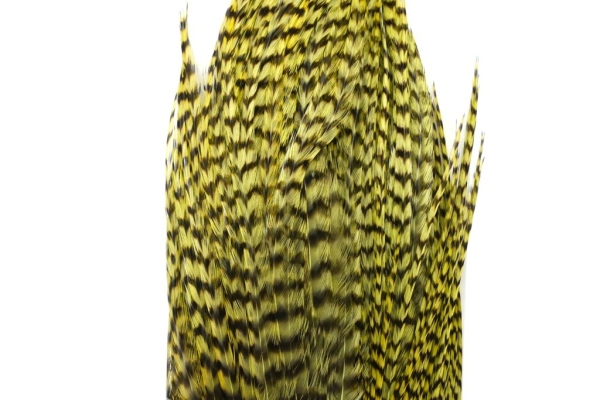 Whiting Bugger Pack Grizzly Olive
