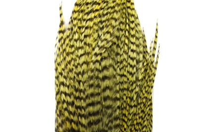 Whiting Bugger Pack Grizzly Olive