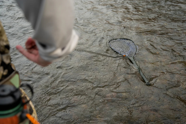 Fishpond Confluence Net Release 2.0