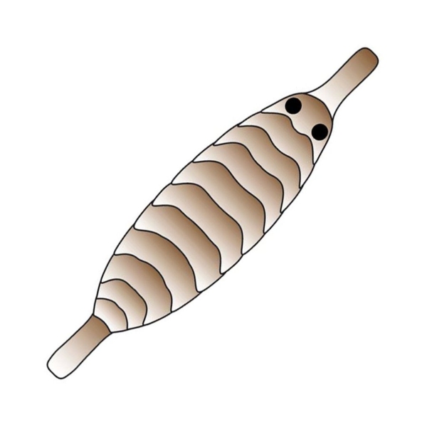 Pro Sportfisher Pro Gammarus Shell Back #L / Brown / 15...