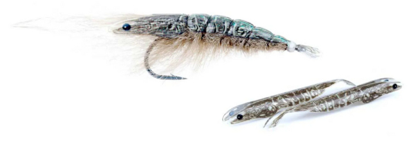 Pro Sportfisher Shrimp Shell Skeletor