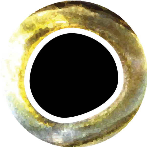 Pro Sportfisher Cool Eyes 6mm Yellow Silver