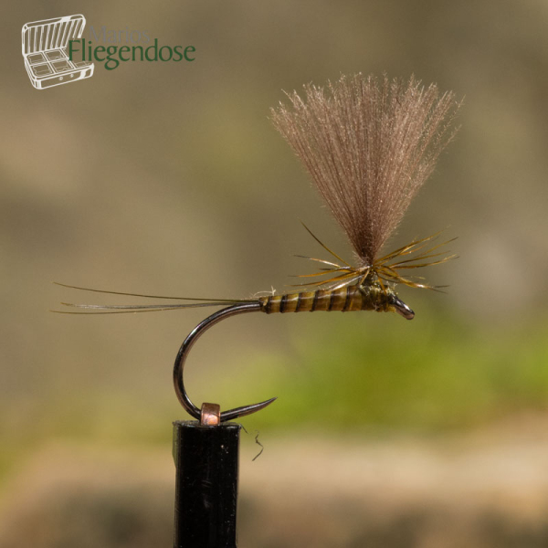 Quill Parachute Olive #18