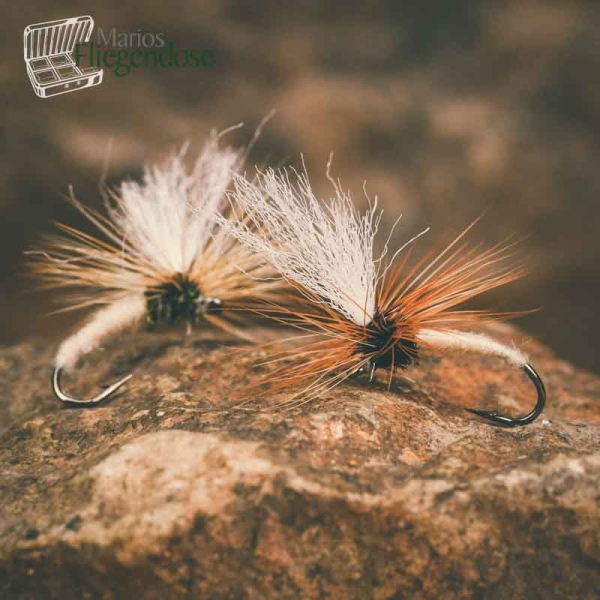Klinkhamer Tan #12