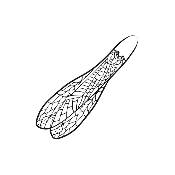 Pro Sportfisher Adult Stonefly Wings
