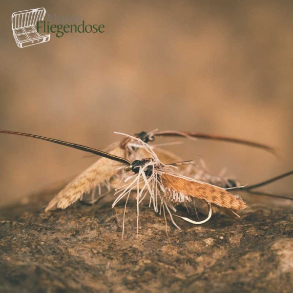 Deer Hair Caddis Cream #16