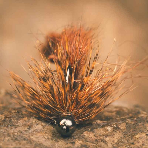 MFD Egan´s Poacher