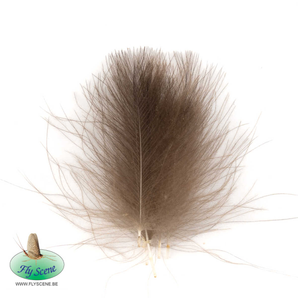 Fly Scene CDC von der Wildente