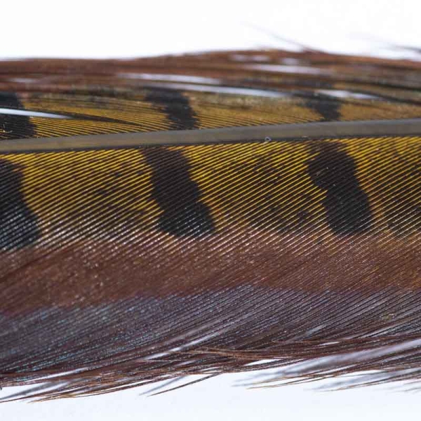 Veniard Fasan Stoßfeder (Pheasant Tail) Medium Oliv