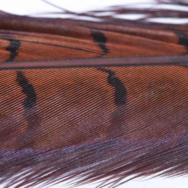 Veniard Fasan Stoßfeder (Pheasant Tail) Fiery Brown