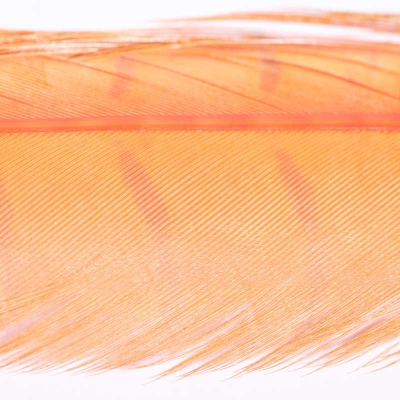 Veniard Fasan Stoßfeder (Pheasant Tail) Gebleicht Fluo Orange Gefärbt