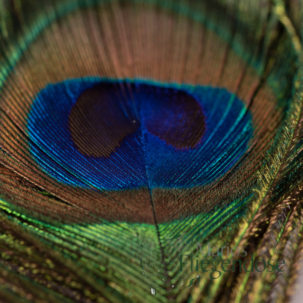 Veniard Pfauenaugen (Peacock Eye Tops)