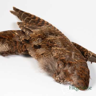 Veniard Woodcock Wings (Waldschnepfe Flügelpaar)