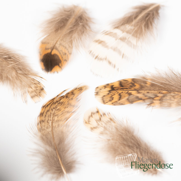 Veniard Woodcock Body Plumage (Waldschnepfe Körperfedern)