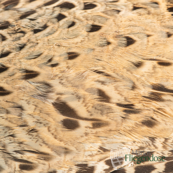 Veniard Hen Pheasant Wings (Flügelpaar Fasan Henne)
