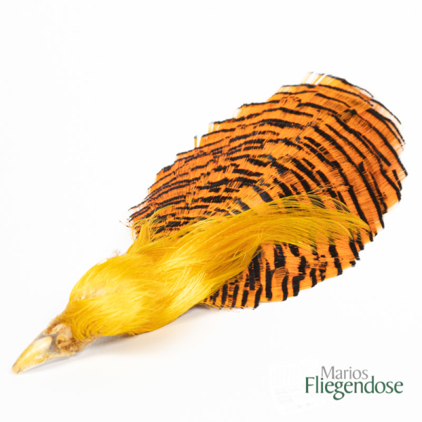Veniard Golden Pheasant Complete Head (Goldfasan Kopf)