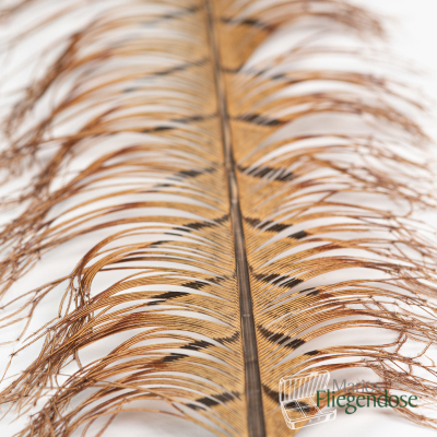 Veniard Pheasant Knotted Tail on Quill (Geknotete Fasanenfiebern)