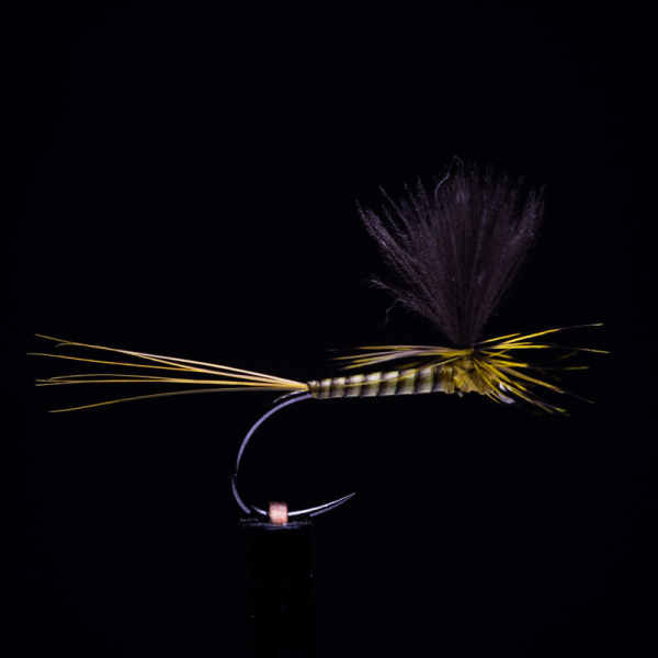 Quill Parachute Golden Olive