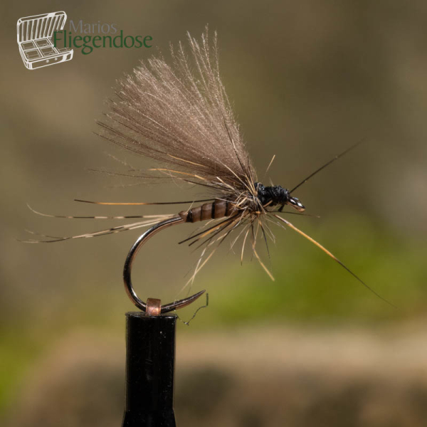 Quill Body BWO Natural