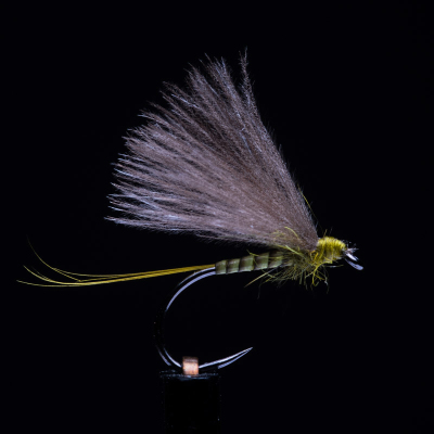 Quill Body BWO Golden Olive