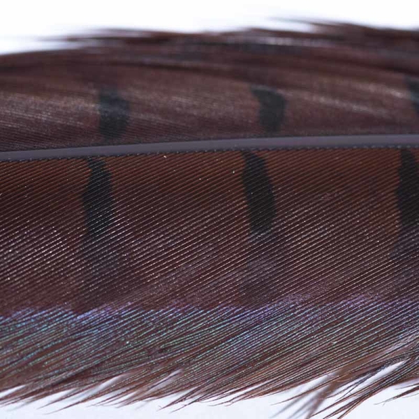 Veniard Fasan Stoßfeder (Pheasant Tail) Dark Brown