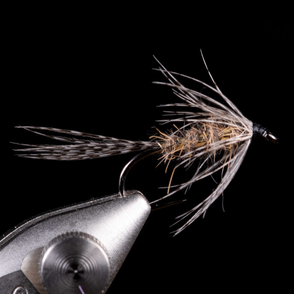 March Brown Wetfly Gold