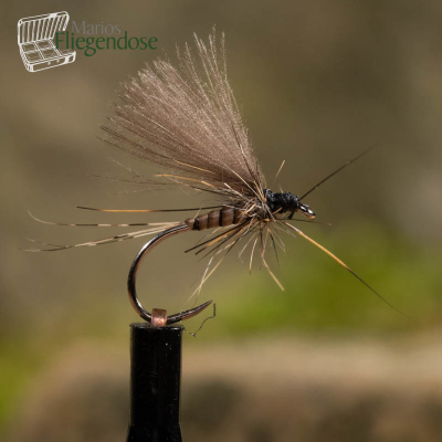 Quill Body BWO Natural 16