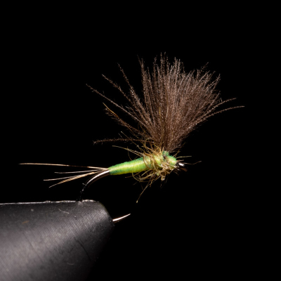 Micro Dryfly Olive