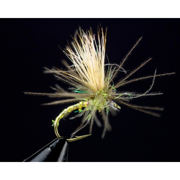 CDC Appetizer Yellow 14