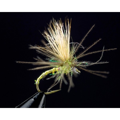 CDC Appetizer Yellow 14