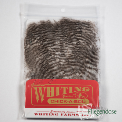 Whiting Chickabou Patch Black