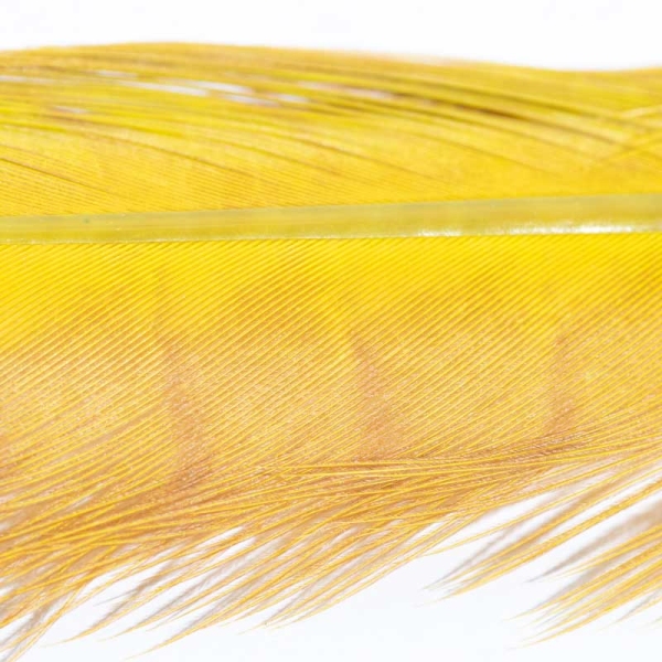 Veniard Fasan Stoßfeder (Pheasant Tail) Gebleicht Fluo Yellow Gefärbt