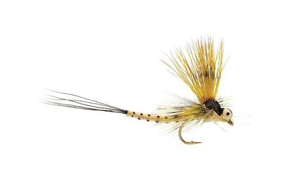 Mohican Mayfly 10