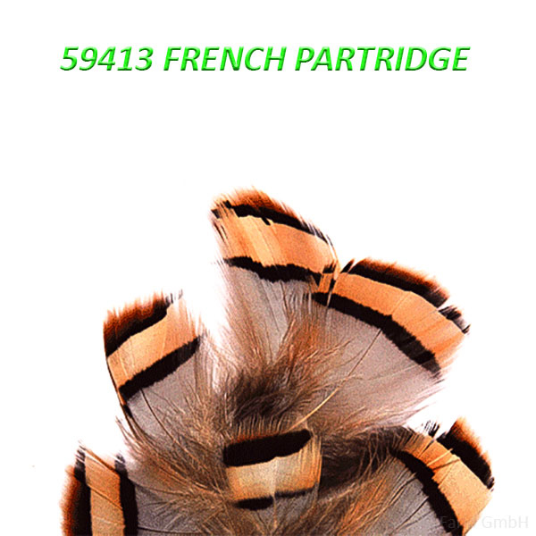 French Partridge Körperfedern