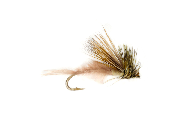 Procter´s Active Mayfly Emerger