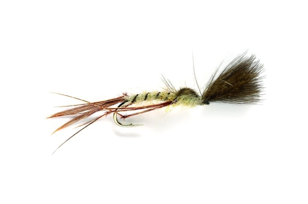 Mayfly Crippled #10