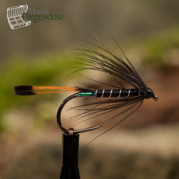 Black Pennel Wetfly #10