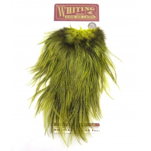 Grizzly Fluo Chartreuse