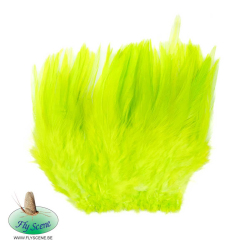 Fluo Chartreuse