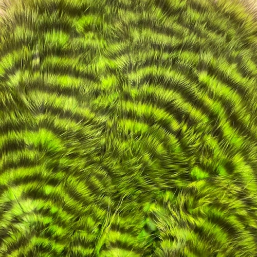 Grizzly Dyed Fluo Green Chartreuse