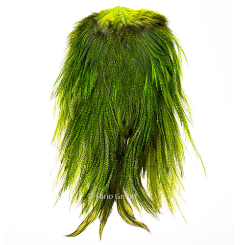 Badger Dyed Fluo Green Chartreuse