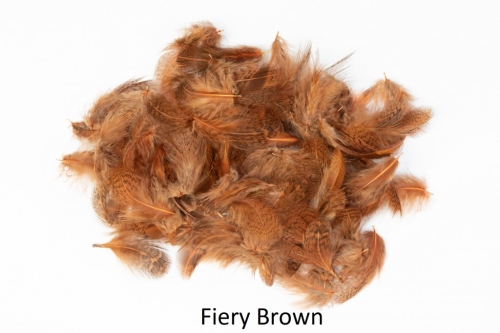 Fiery Brown