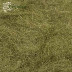 Caddis Green