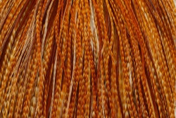 Whiting Bronze Cape (für Trockenfliegen)