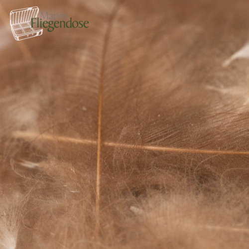 Natural Dark Brown