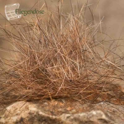 Natural Brown Pardo