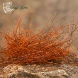 Burnt Orange