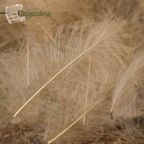 Pale Pardo