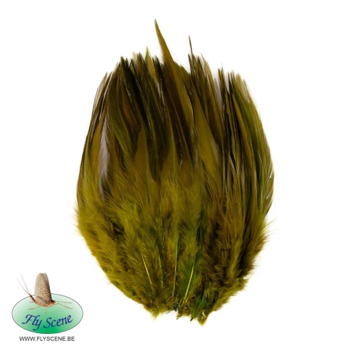 Golden Olive