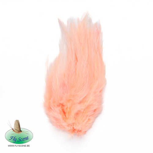 Saltwater Prawn Pink